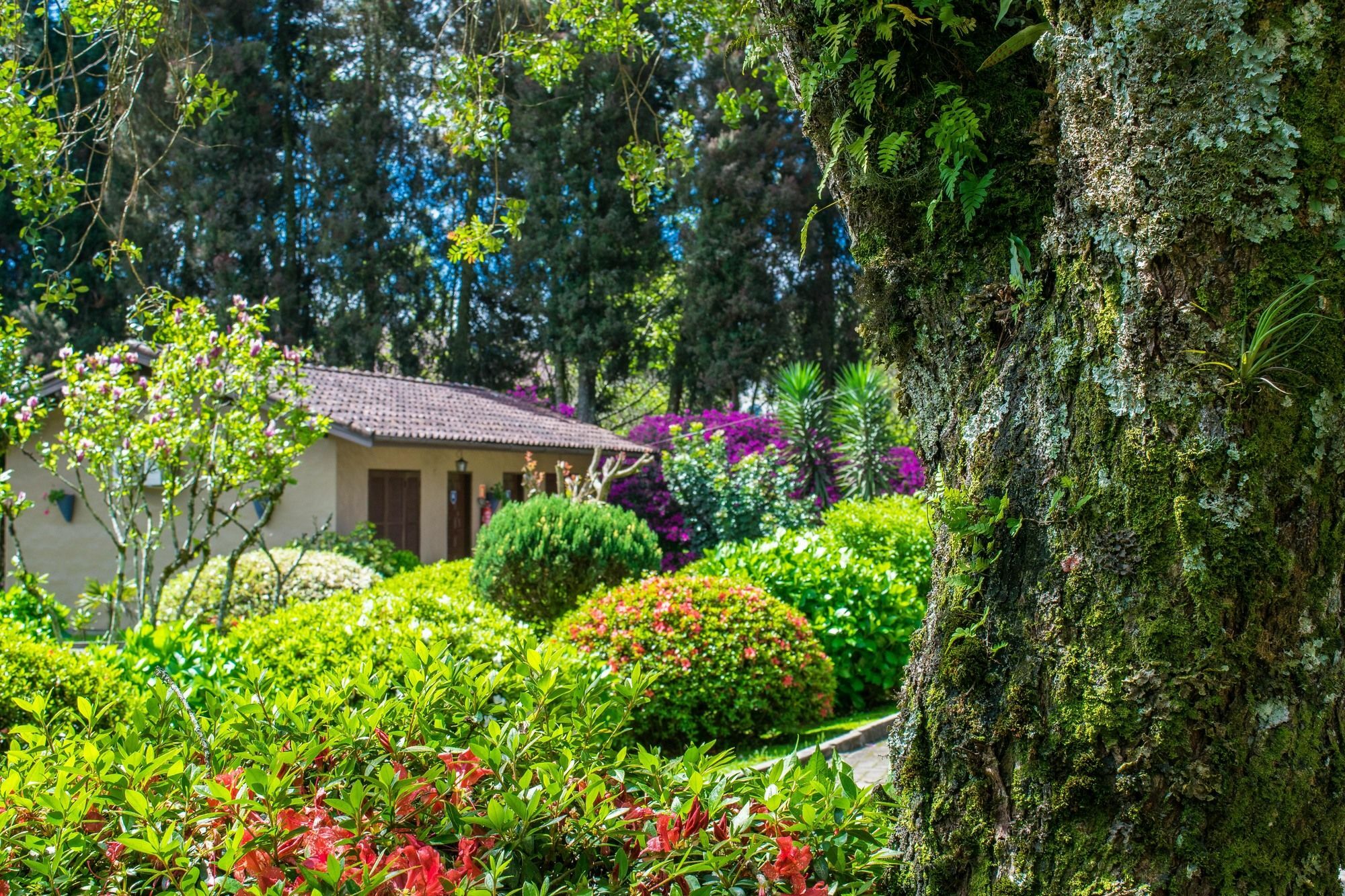 Hotel Fioreze Quero Quero Gramado Exterior photo